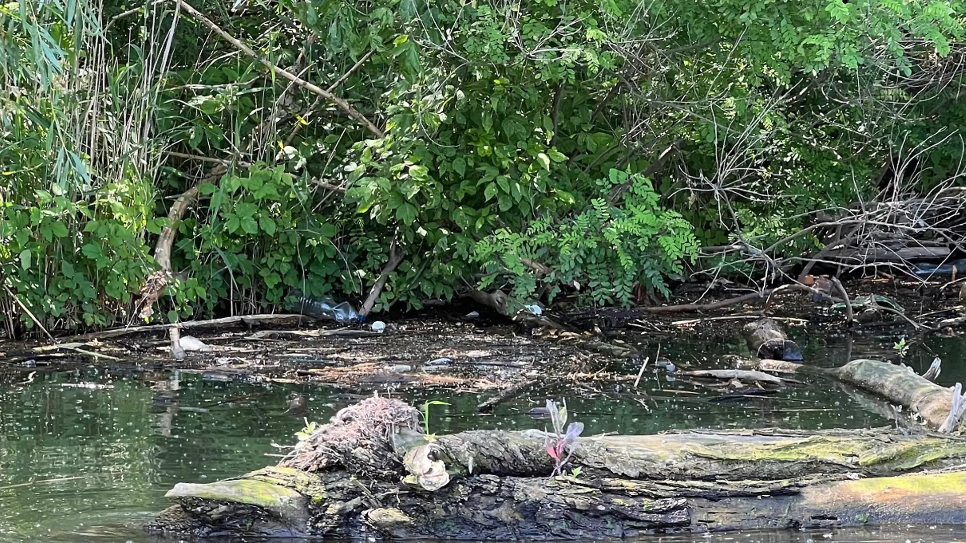 Több, mint 6 tonna hulladéktól lélegzett fel a Tisza-tó
