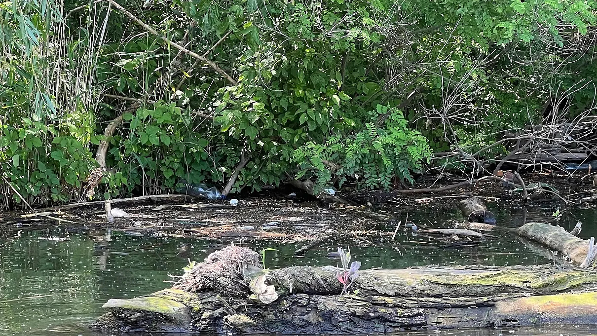 Több, mint 6 tonna hulladéktól lélegzett fel a Tisza-tó