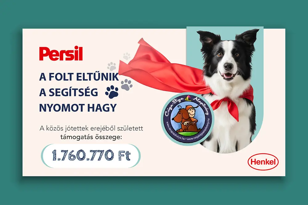 Csiga-Biga Mozgás- és Képességfejlesztő Alapítvány