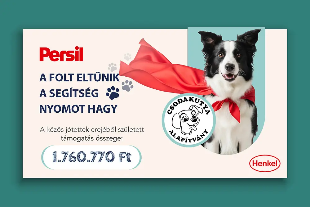 Csodakutya Állatasszisztált Terápiás Közhasznú Alapítvány