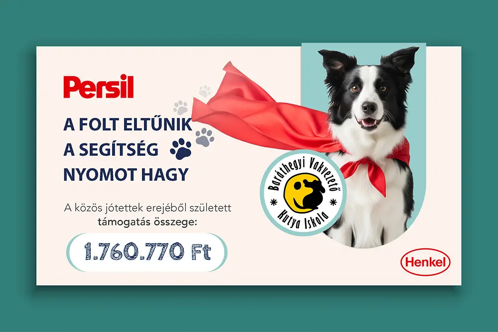 Baráthegyi Vakvezető és Segítő Kutya Iskola Alapítvány