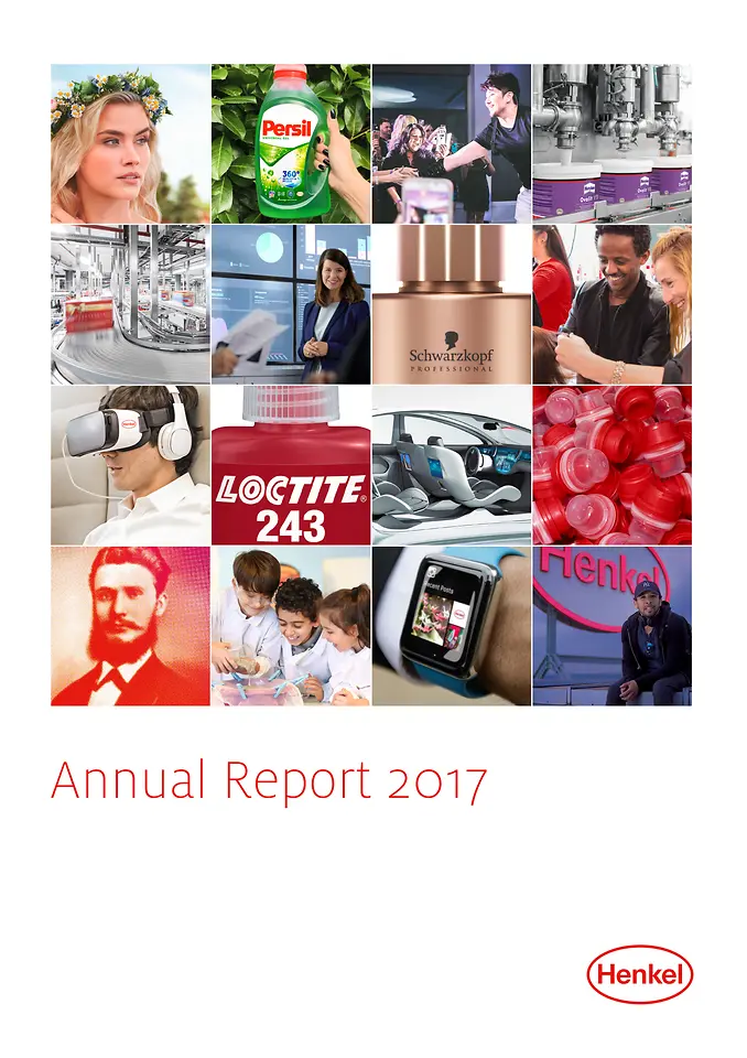Éves jelentés 2017 (Cover)